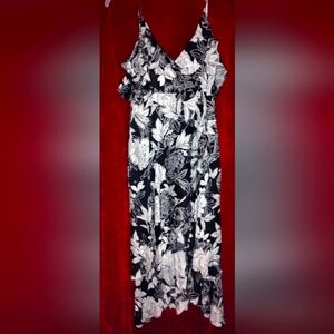 Nwt!  Bardot high low dress.